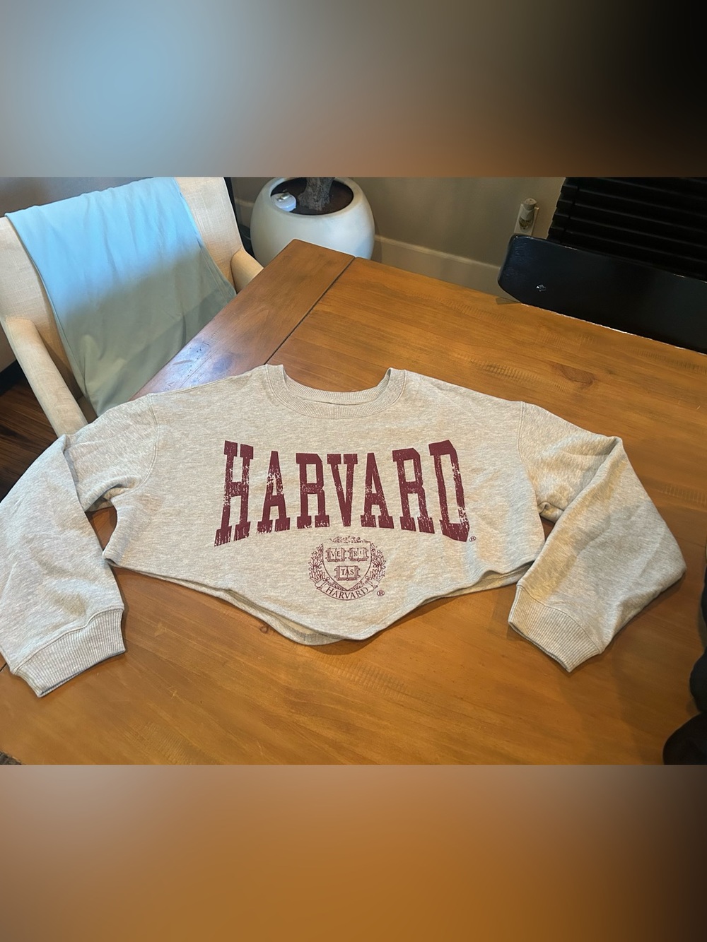 NWOT Harvard Gray Cropped Crewneck Sweater
